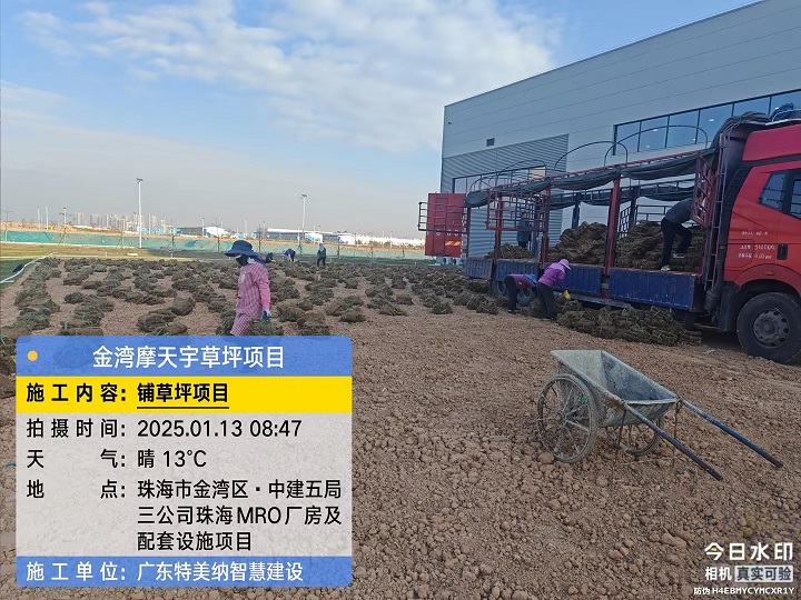 845f32b7c184bb63adb43961a36c2670_compress.jpg
